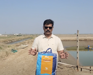 Dr Manoj M Sharma Cultivo de camarón: VIVASOIL, un producto todo en uno para el cultivo de camarón